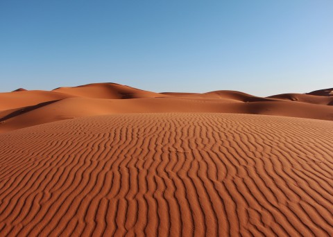 Desert